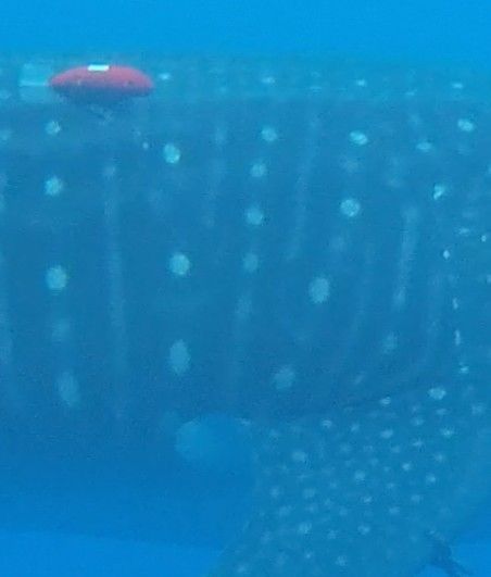 a046e8a9-e5bc-468b-b4cd-a2cd84561fcd