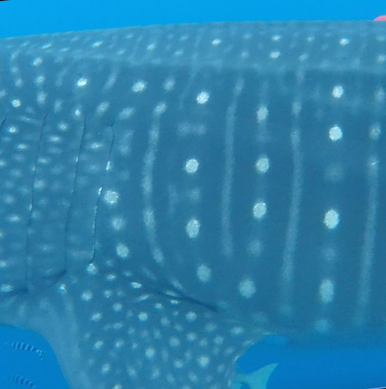 a046e8a9-e5bc-468b-b4cd-a2cd84561fcd