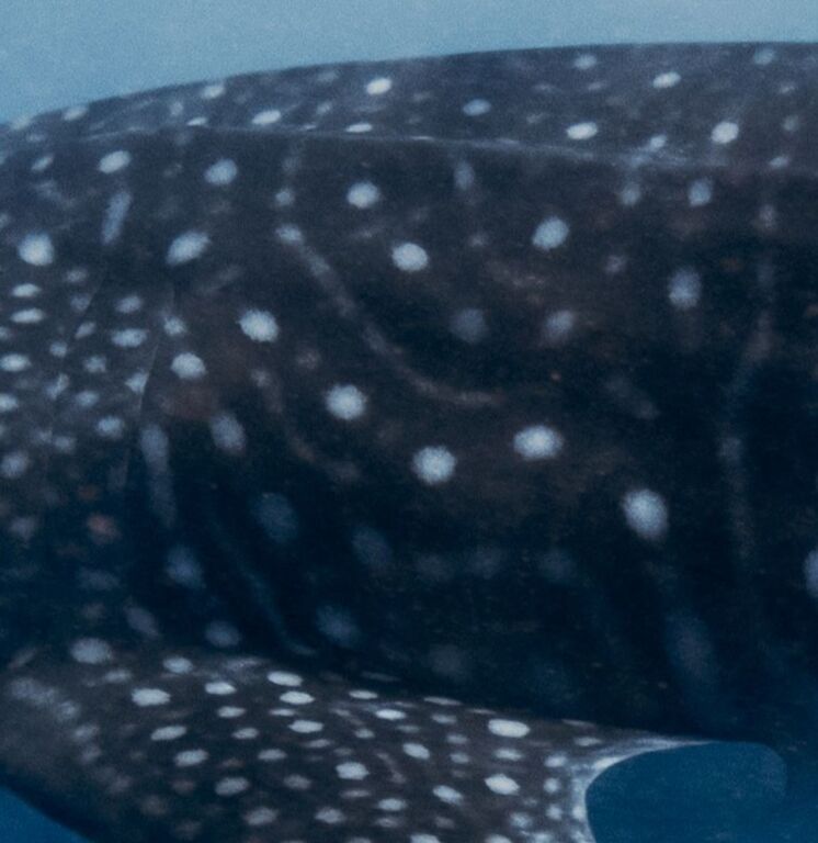 ebe49154-d88a-4bd3-88d1-e5b1e850fe58