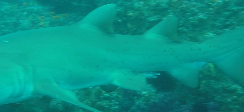 1a8cc155-d6de-441c-bce9-665aae1a00ca