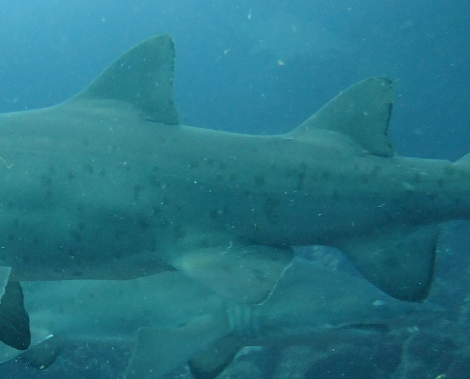 661a9717-ceef-4cd9-9f45-b207bc80b1cb