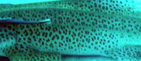 332afc8f-470f-4464-adf7-88c6e3b13a4c