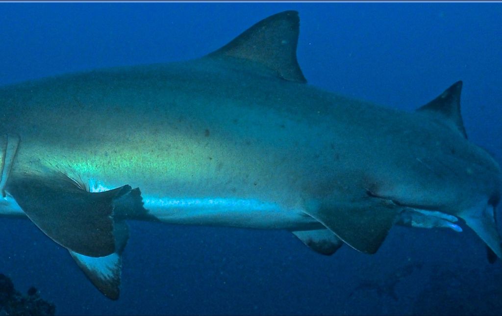 9ac656f8-6e07-4045-8499-725a1f517c02