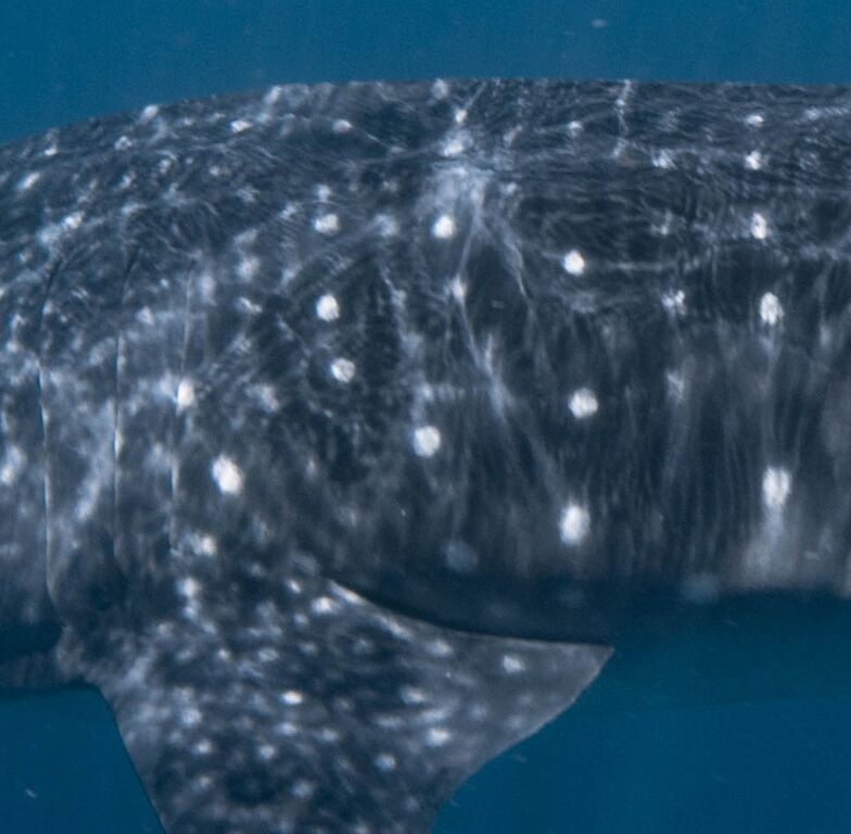 87a52f69-d3f0-47bd-ab34-56727b60e9dc