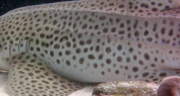 aab8af65-d2d3-413d-ab6a-832e97a63d8d