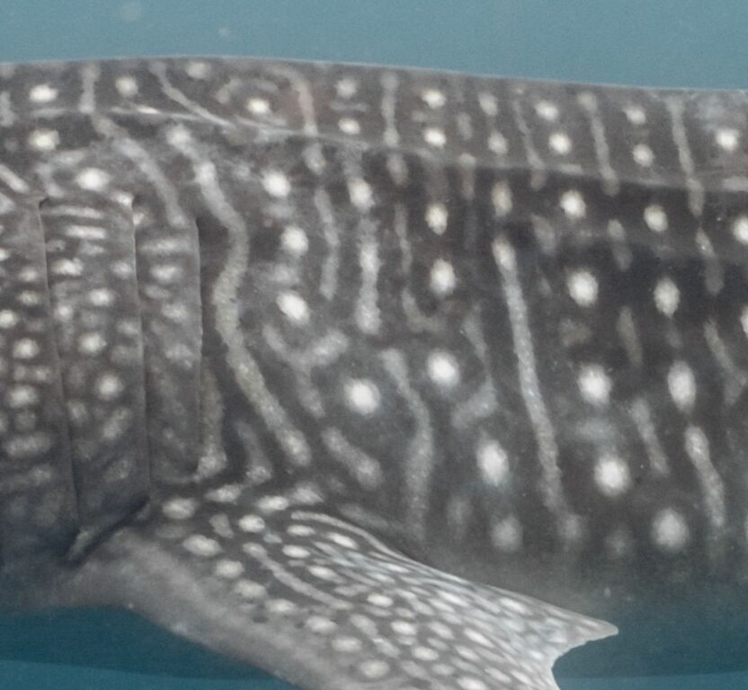 424cb2d0-4d7f-4e0c-9ba3-d8eaca031a4e