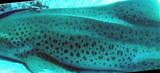 1067015e-2155-4f8f-a219-5eb1221eb571