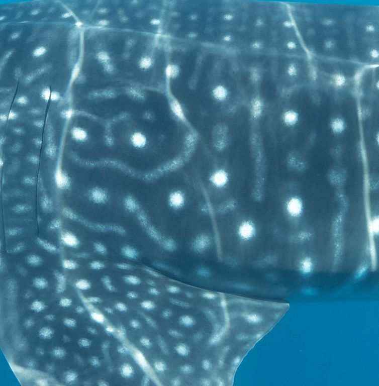 63625622-40d2-43b5-8d9a-e6fd85c45c17