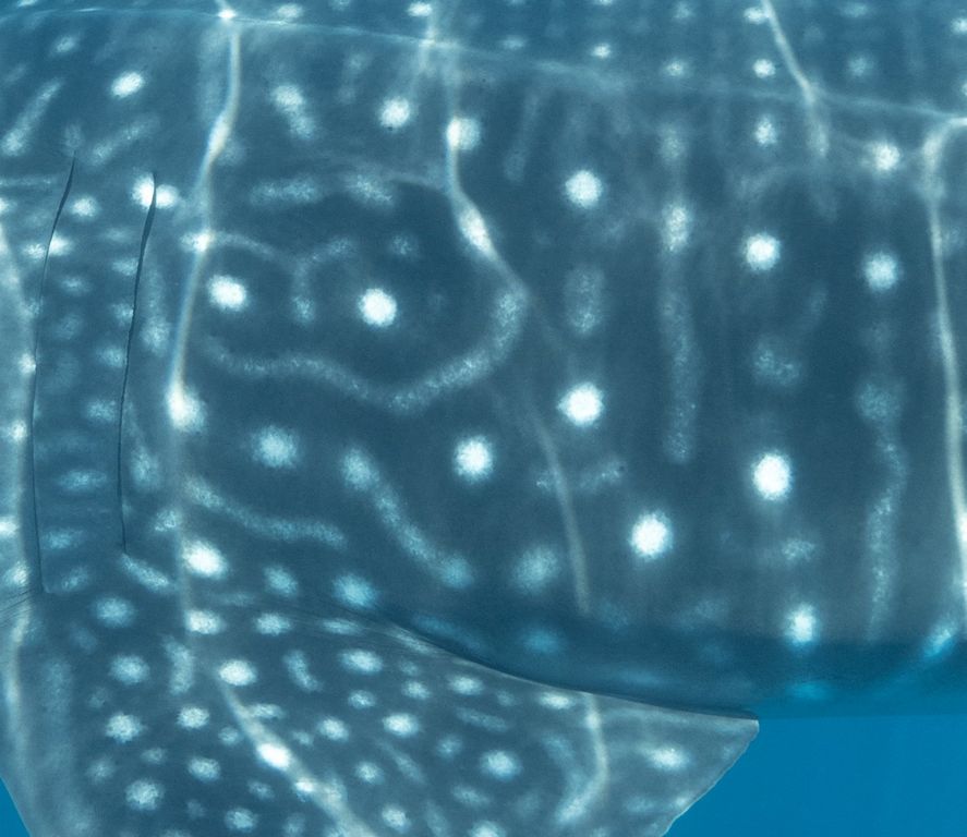 63625622-40d2-43b5-8d9a-e6fd85c45c17