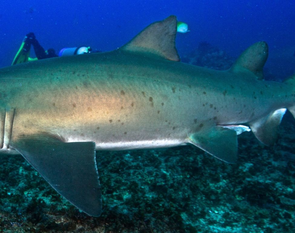 2555b292-be18-4fe3-a1ba-25e9dee61c9d