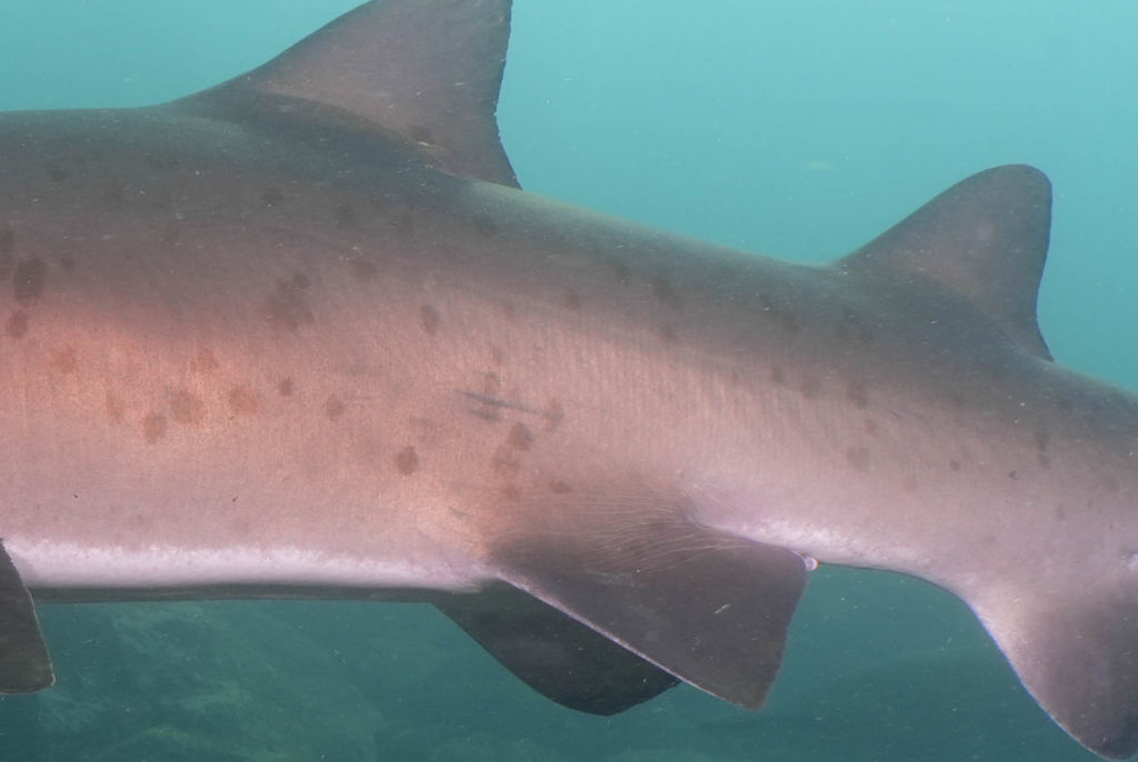 27bf62f6-98b3-4675-8cbe-35a6adf1df88