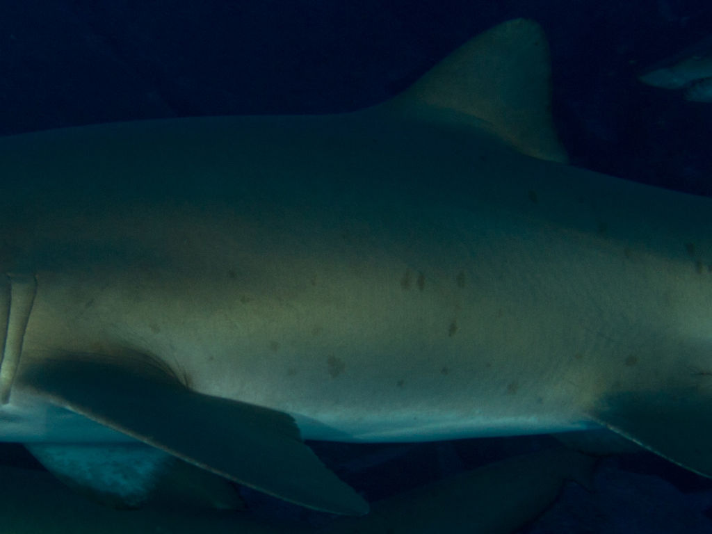 9a7a4ce6-8690-4d65-9f40-f05cc435f2ec