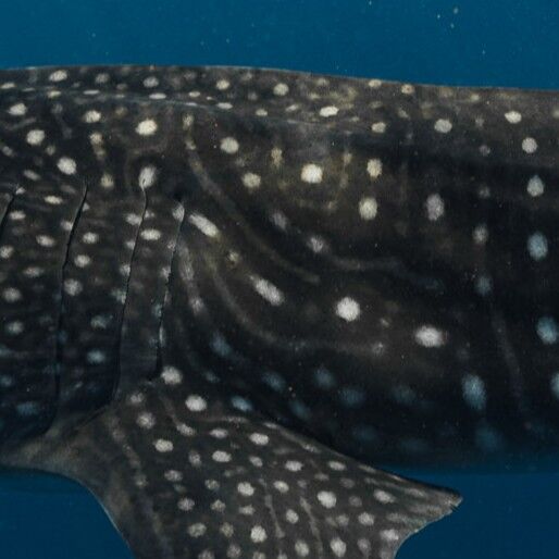 fdc14074-0075-4b91-a10a-1f6a61a685dc