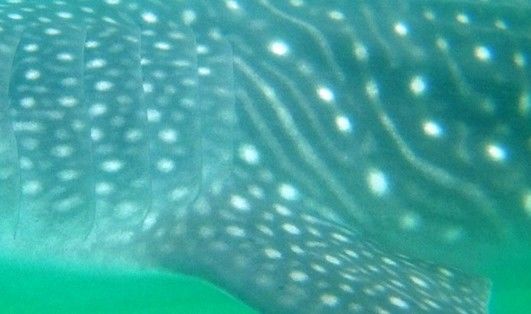 326efc75-c4c6-4970-84e7-249ea0b0b44b