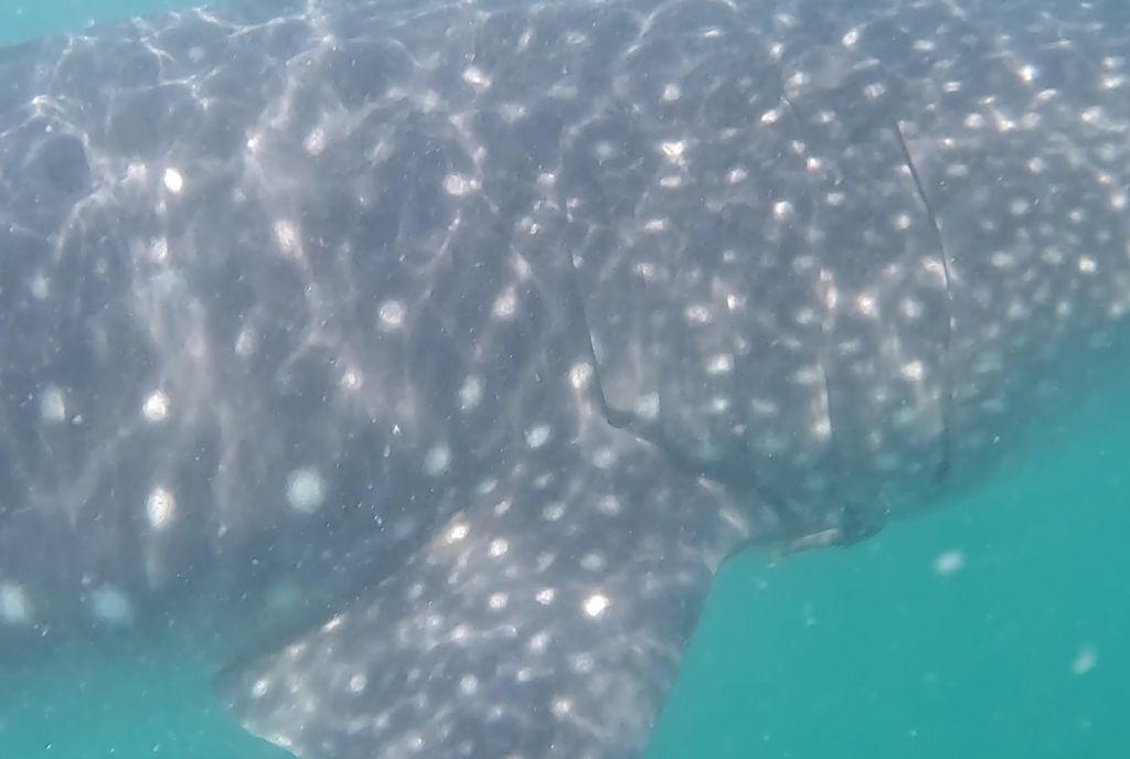 dcf0deeb-ae1e-4847-a581-daf54955c022