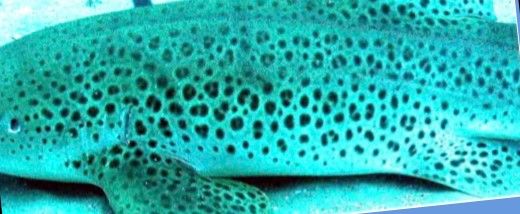 b7efd13c-3344-4132-93c3-73fdd5471348