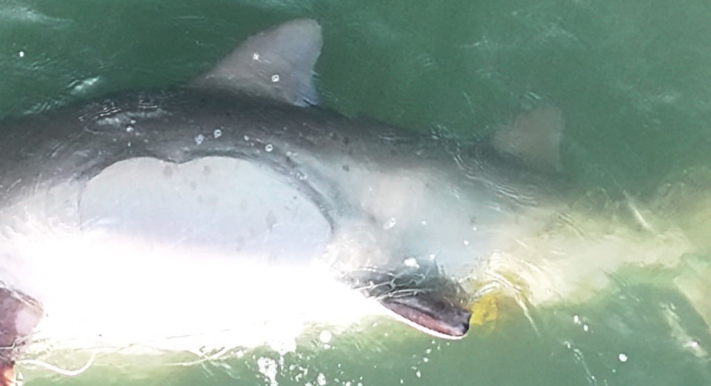 a32b9ba9-2008-4333-8919-6baca8eb6421