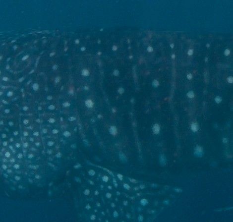 a98867cd-032a-4a5e-86f7-e6e2e1dba9ad