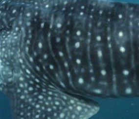 ed5912d3-57f8-4944-a0f2-3a1d1dca75d1