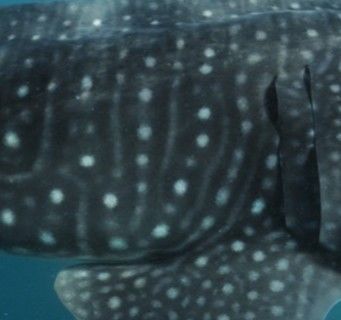 ed5912d3-57f8-4944-a0f2-3a1d1dca75d1