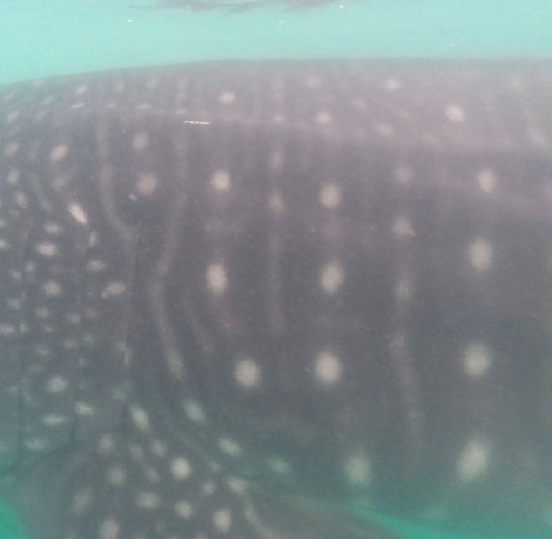 c162f29a-39cb-4ad1-a45e-6c7e630e644b