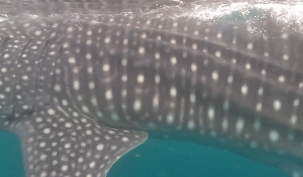 5d04b21a-33b9-4bc1-925f-c1f0379b85d2