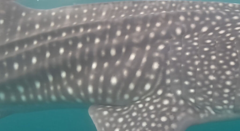 5d04b21a-33b9-4bc1-925f-c1f0379b85d2