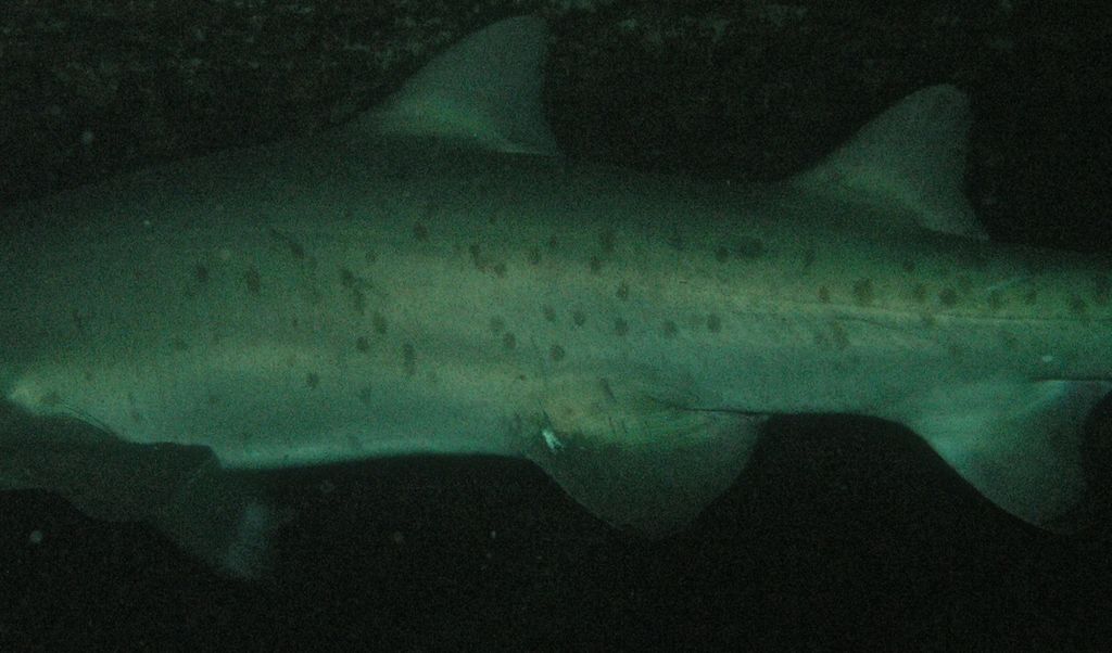 e6a38a03-819c-4954-9756-4b1c9ac42676