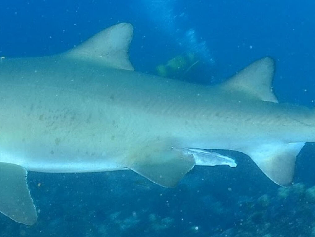 e22881a2-2a26-4afb-9de2-a6c686efc158