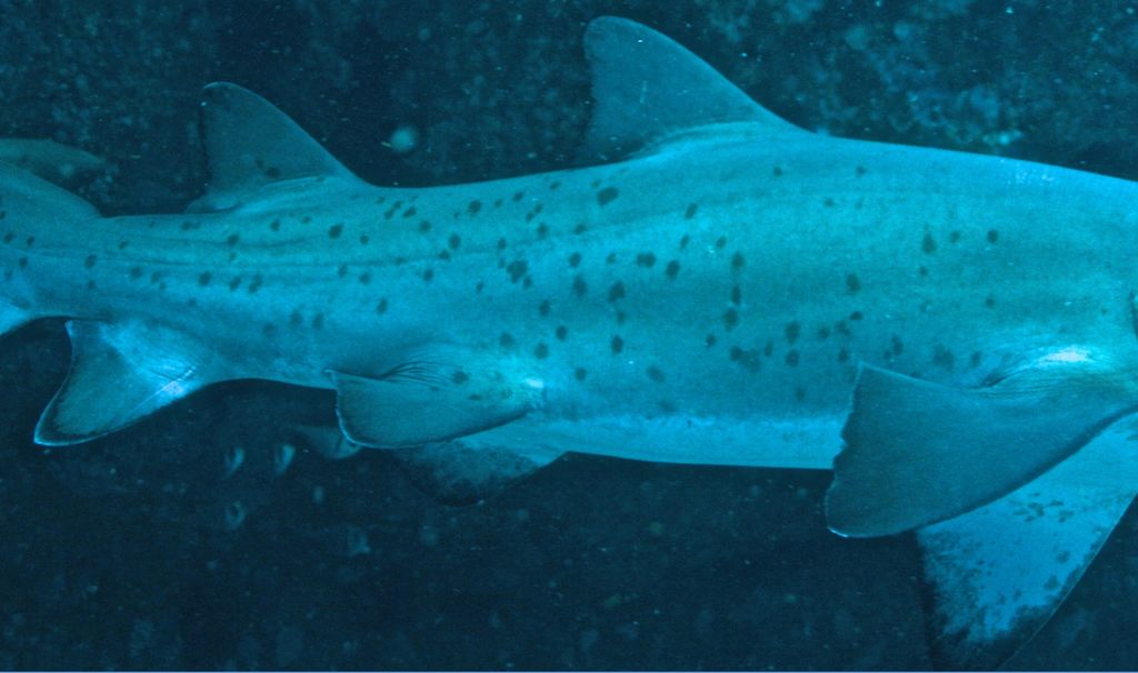 518919b7-ed74-4b9a-a955-ec8b4848c25a