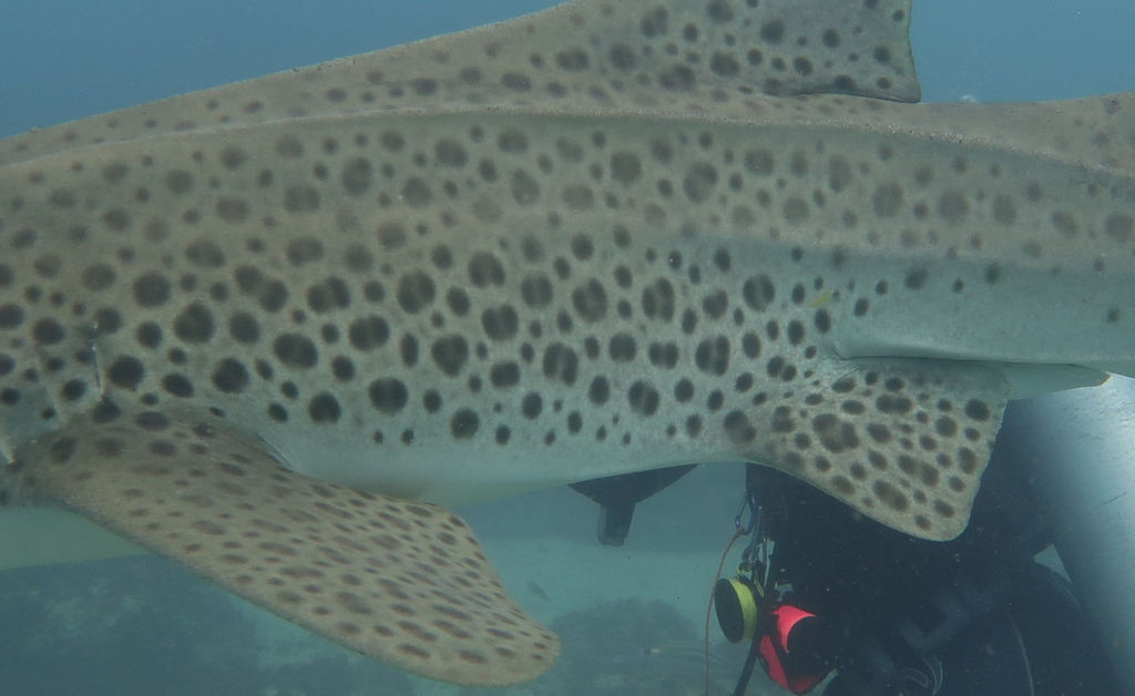 a8a27b58-d8a5-45bd-b2a0-c9a9b0756f02