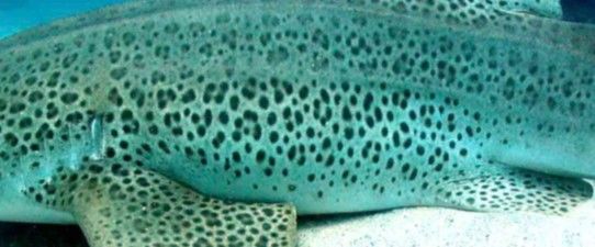 b441ad66-3203-426f-b68b-9274a50ffbc5