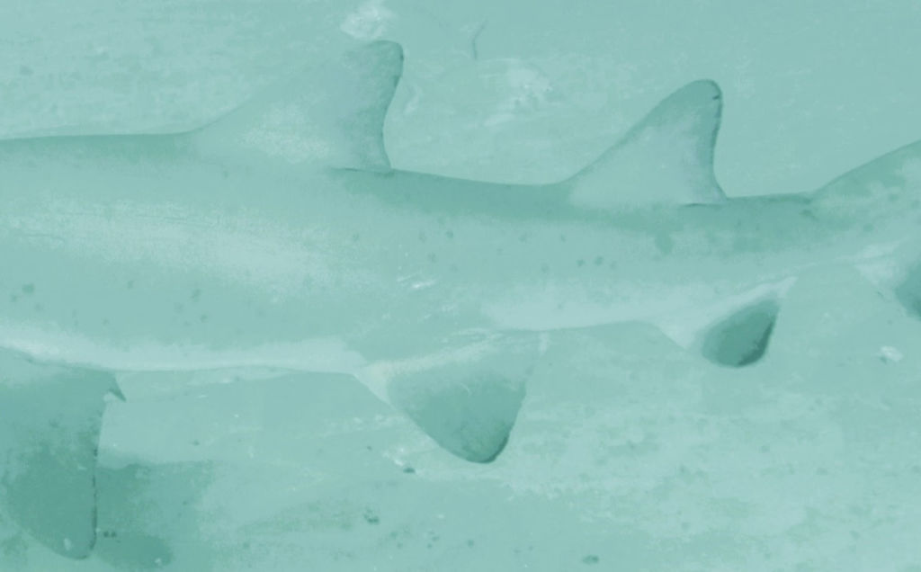 30e42409-7565-46d4-a222-a82bd267f38a