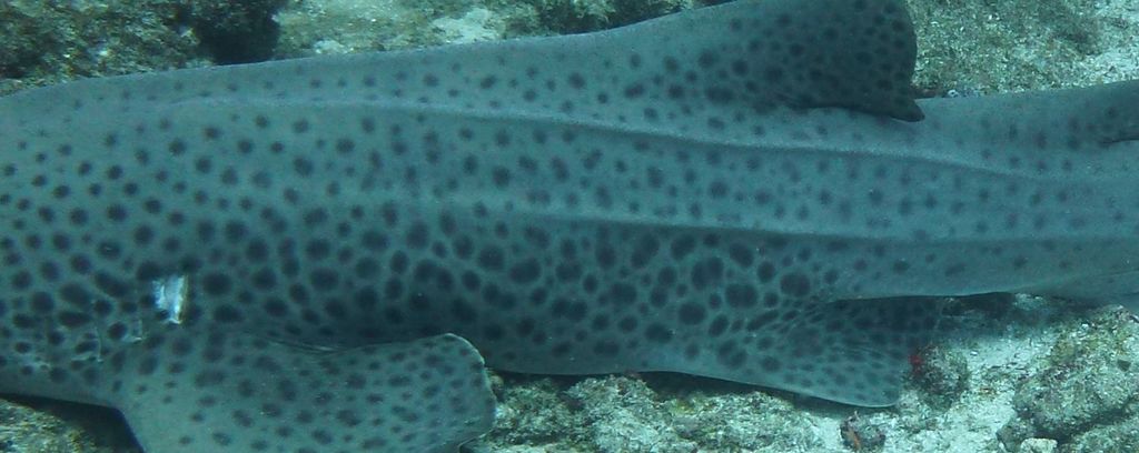 46f66e85-4ad7-4868-8658-d98ba2b02199