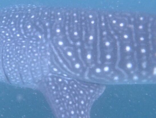 28c07843-646e-4ed9-8dc7-c46cb75661a6