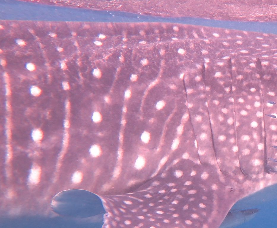 f6888563-4ae4-4cdd-91f7-841785042c2d