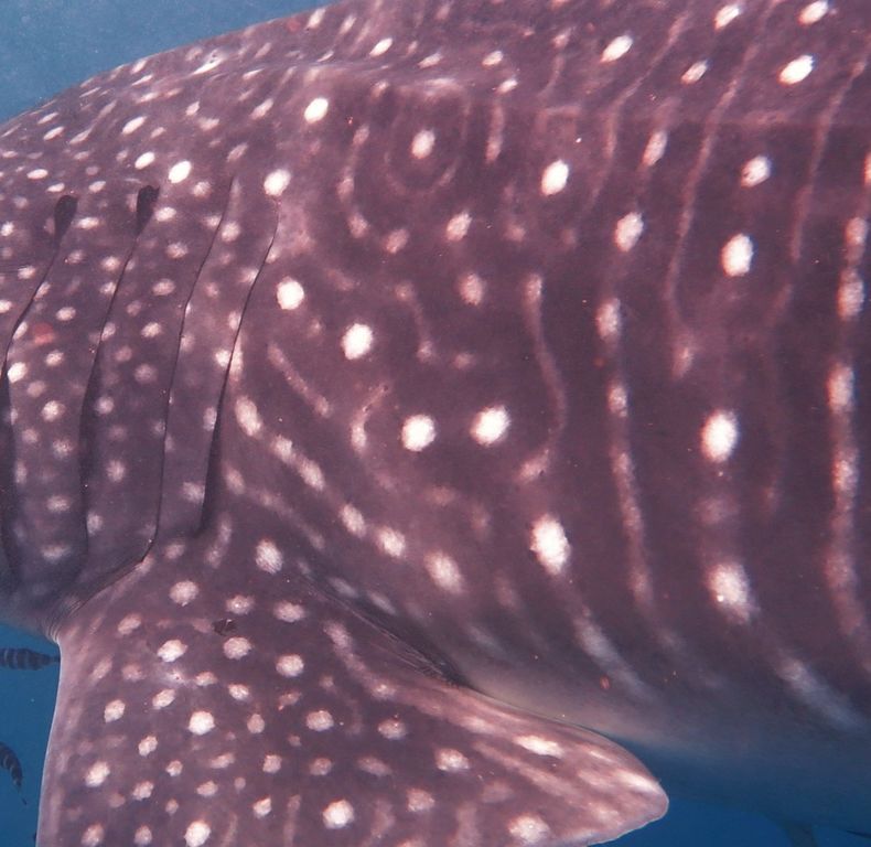 f6888563-4ae4-4cdd-91f7-841785042c2d