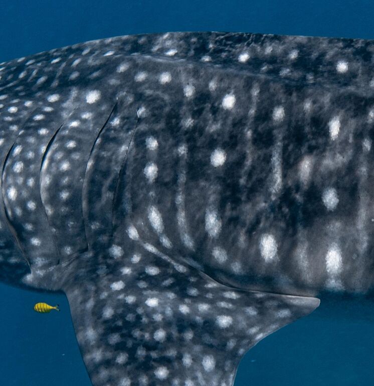 f242415a-7422-4903-b4da-12d2c315549d