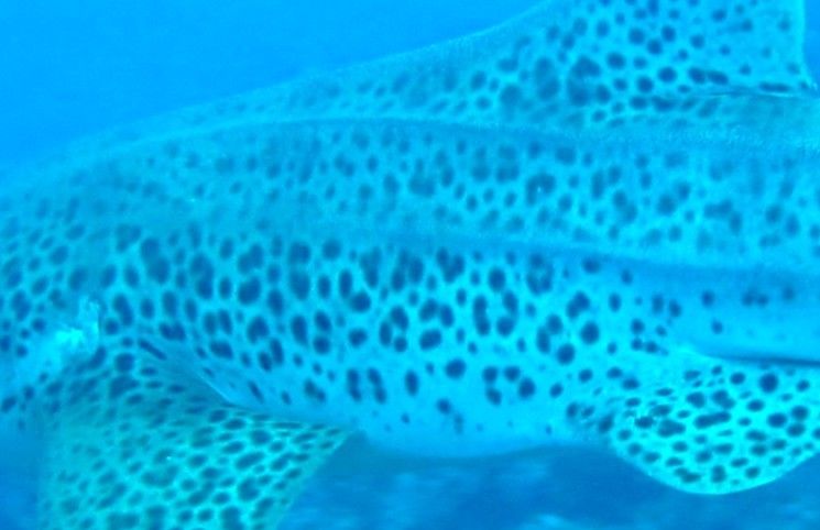 6609bca7-775f-40cf-9d1c-033cbee0f734