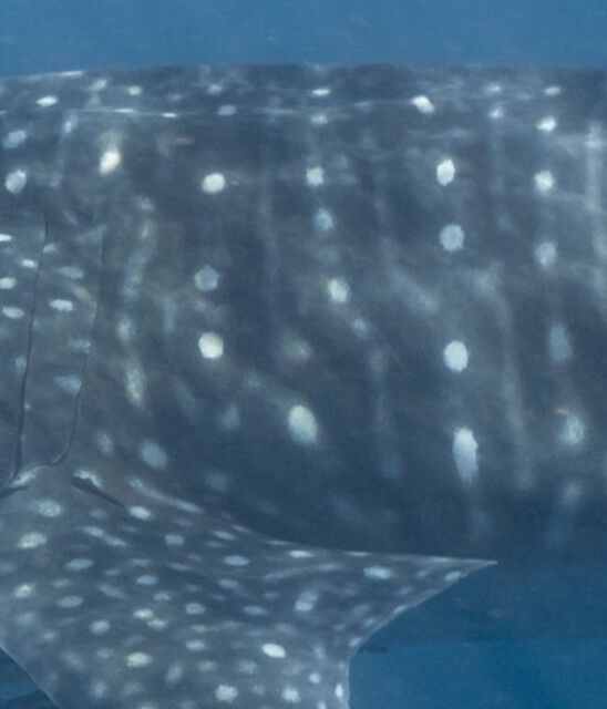 03edc049-185a-47db-be1a-1c88e306e84a