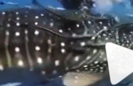 3b550c31-3152-4462-aaa8-76f44a35848d