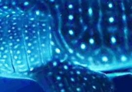 77db53c2-39ae-4f44-ba49-de445ce359b1