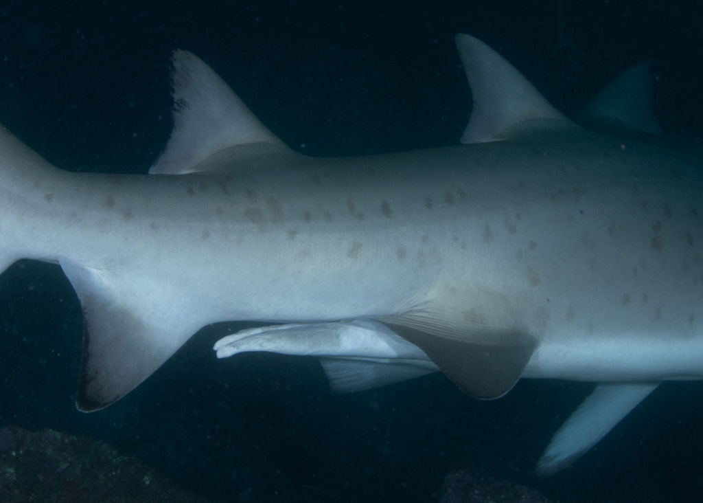 f8dc9b73-a743-427c-a5b3-86ffe79da5ec