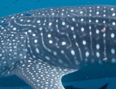 d332730a-81d4-4204-8e4c-1afcac5ae034