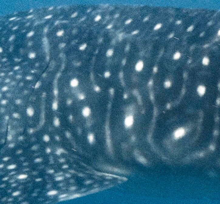 3cb21992-6410-4dd8-9274-bbac0df16a01