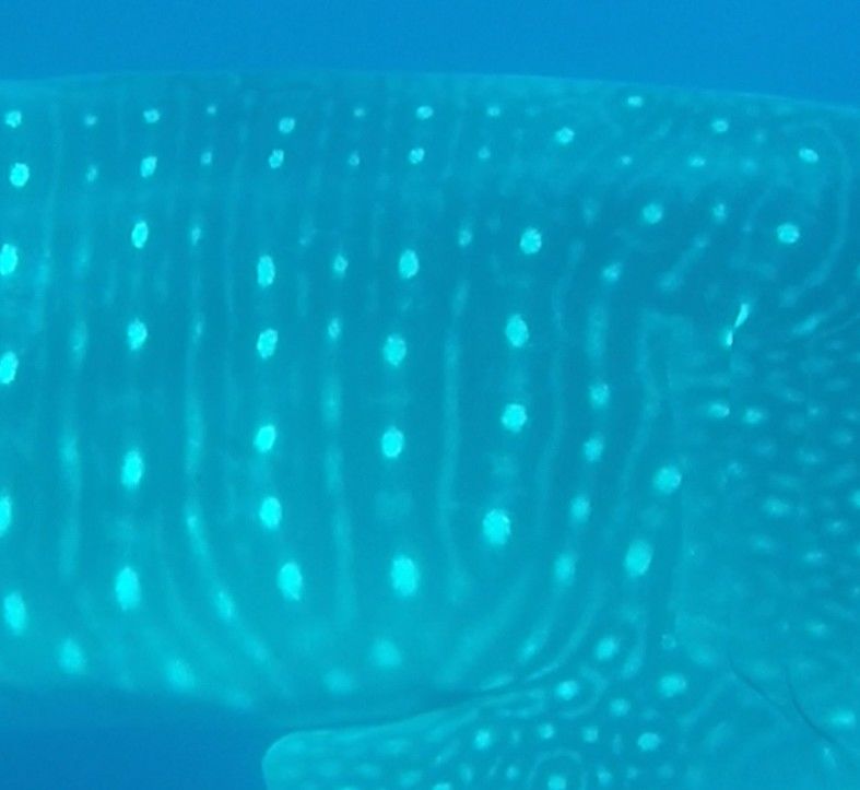 f2b60c89-253b-491c-87f8-8e8c4295831b