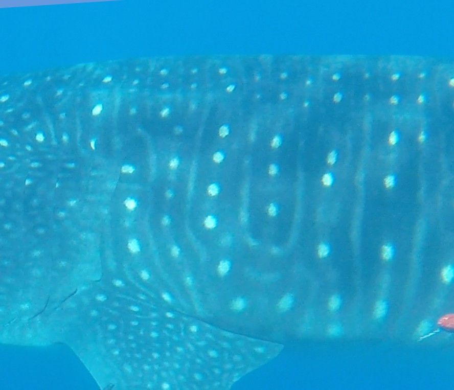 f2b60c89-253b-491c-87f8-8e8c4295831b