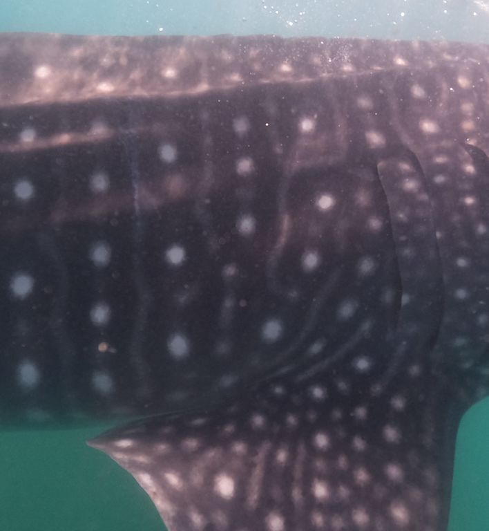 047b7eb3-4967-4c3b-af21-11915c7a37b9