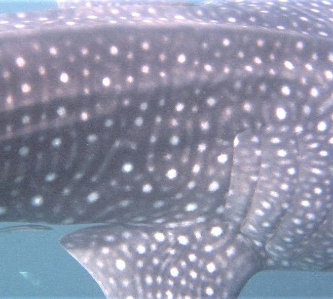 9f3347f1-ab52-4b96-9ec3-9309fac2e24a