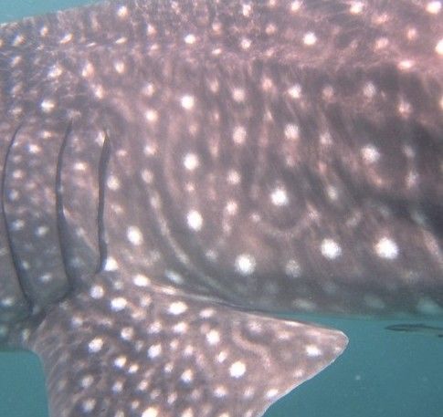 9f3347f1-ab52-4b96-9ec3-9309fac2e24a